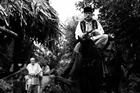 Picture of     AFERIM! - Special screening