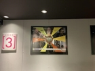 Picture of                   2022 Day One / Miracle